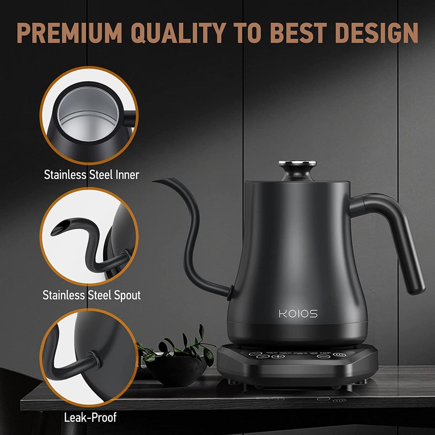 Electric Gooseneck Kettle
