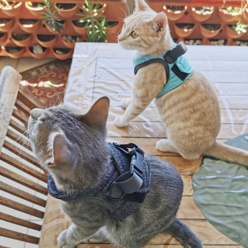 Adjustable Anti-Escape Small Cat Belt Harness