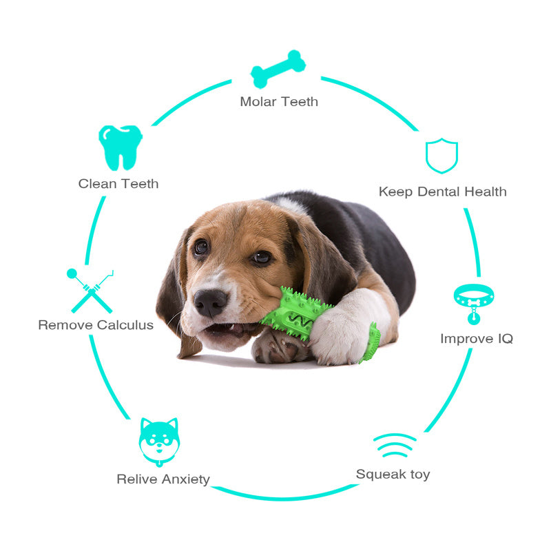 Molar Stick Dog Chew Toothbrush