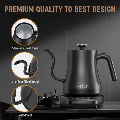 Electric Gooseneck Kettle