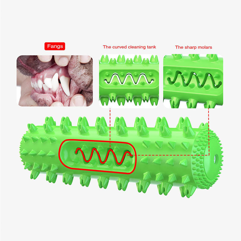 Molar Stick Dog Chew Toothbrush