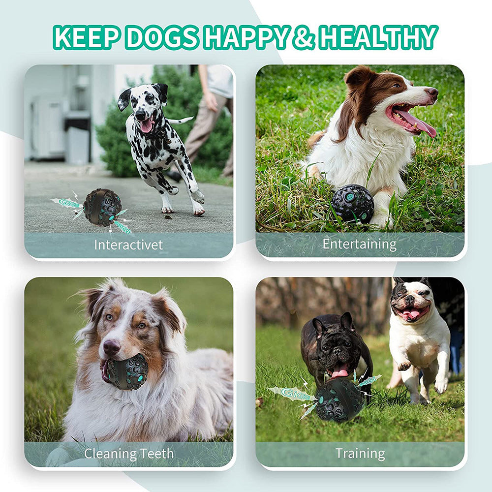 Interactive Puppy Ball for Aggressive Chewers