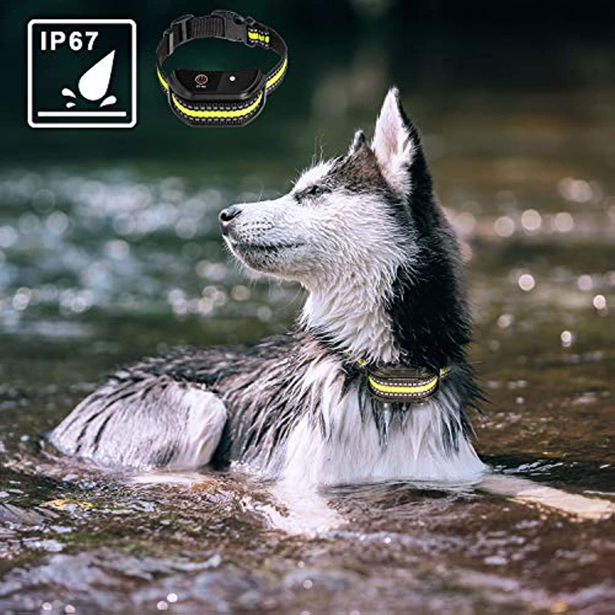 Dog Training Collar; Rechargeable Dog Shock Collar; 3 Modes