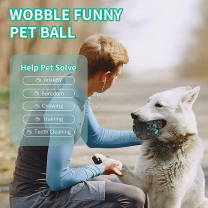 Interactive Puppy Ball for Aggressive Chewers