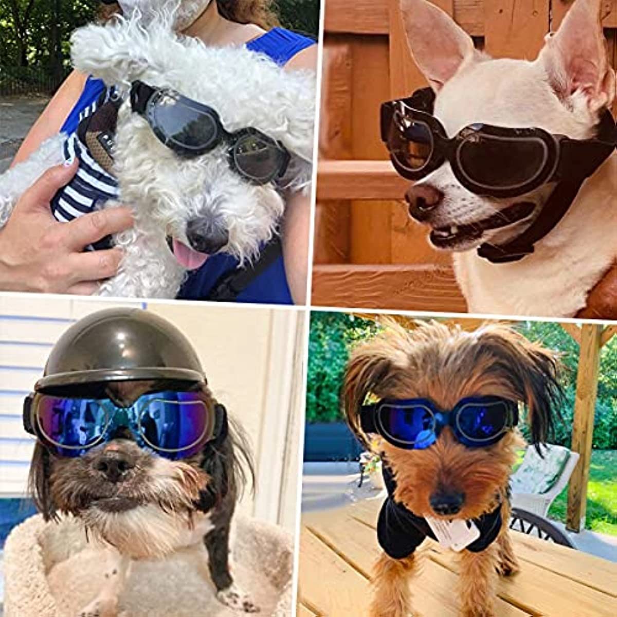 Dog Goggles Fog - Windproof
