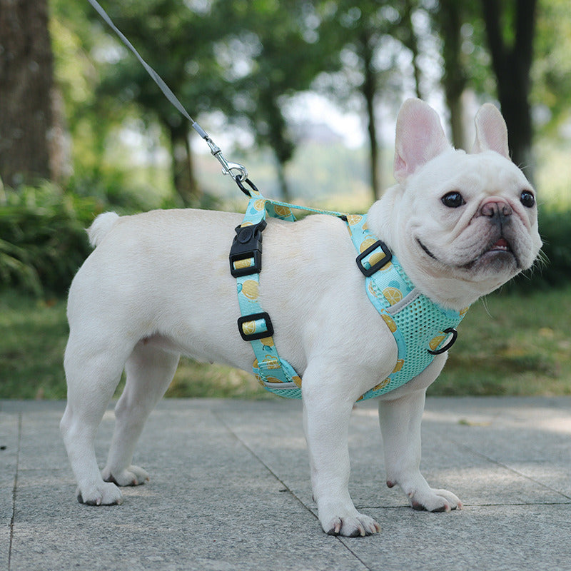 New style dog chest strap vest