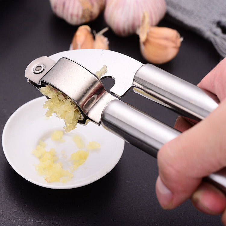 Stainless Steel Garlic Press