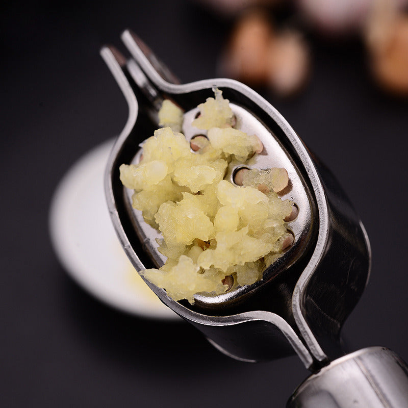 Stainless Steel Garlic Press