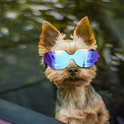 Dog Goggles Fog - Windproof