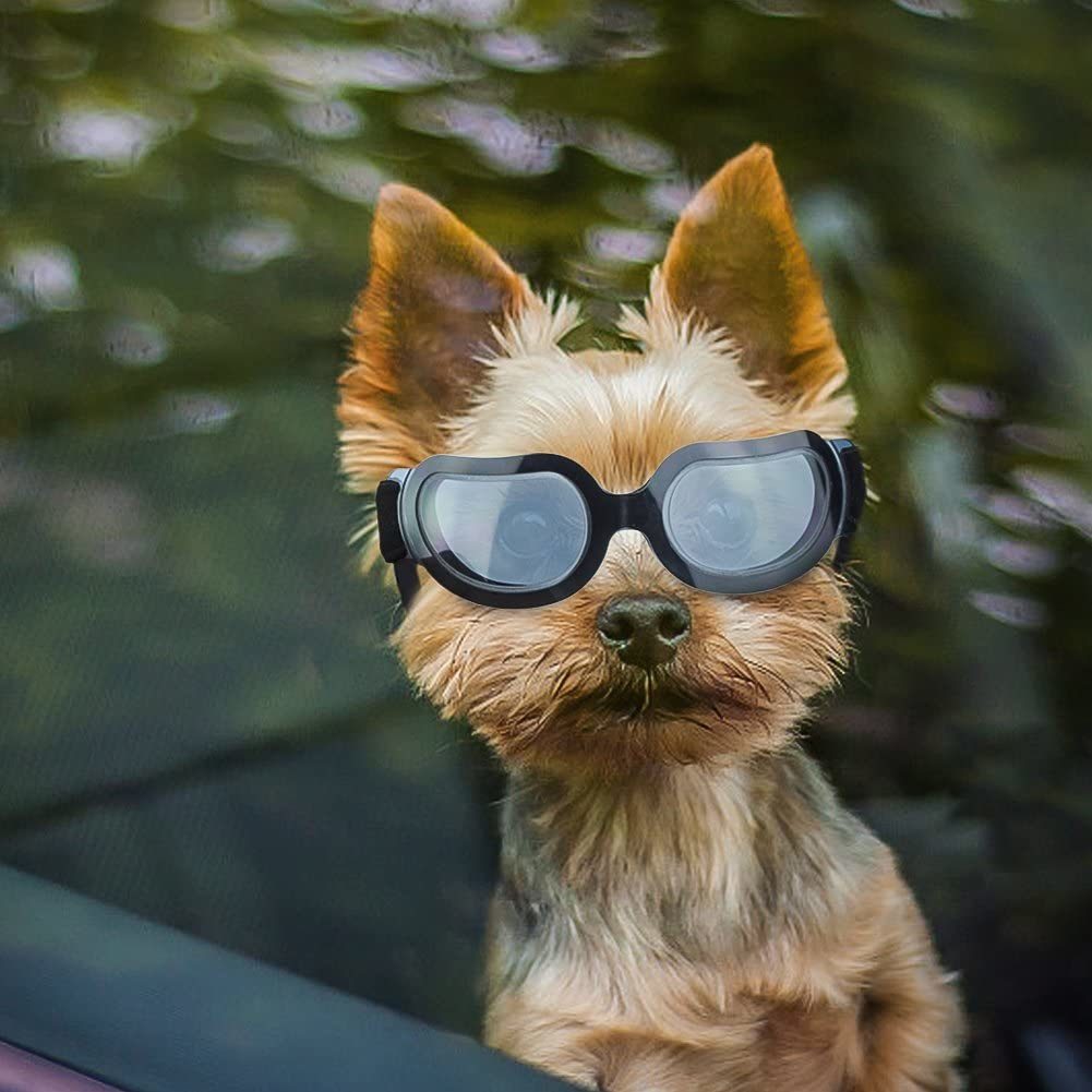 Dog Goggles Fog - Windproof