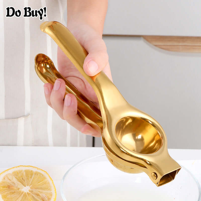 Lemon Squeezer Stainless Steel