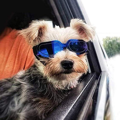Dog Goggles Fog - Windproof