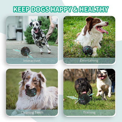 Interactive Puppy Ball for Aggressive Chewers